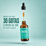 Gotero Pingüica + Palo Azul
