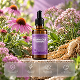Gotero Equinácea + Ginseng