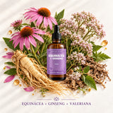 Gotero Equinácea + Ginseng